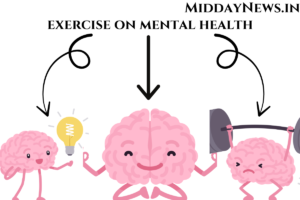 exercise 