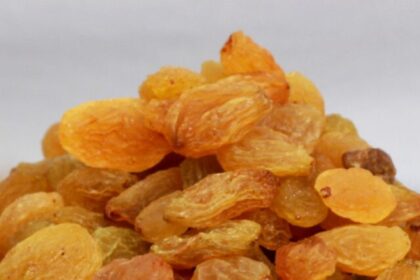 पानी के अलावा दूध में भिगो कर खाये किसमिस मिलगे बहतरीन फायदे